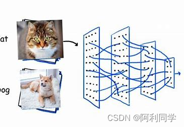 深度学习小白学习路线规划