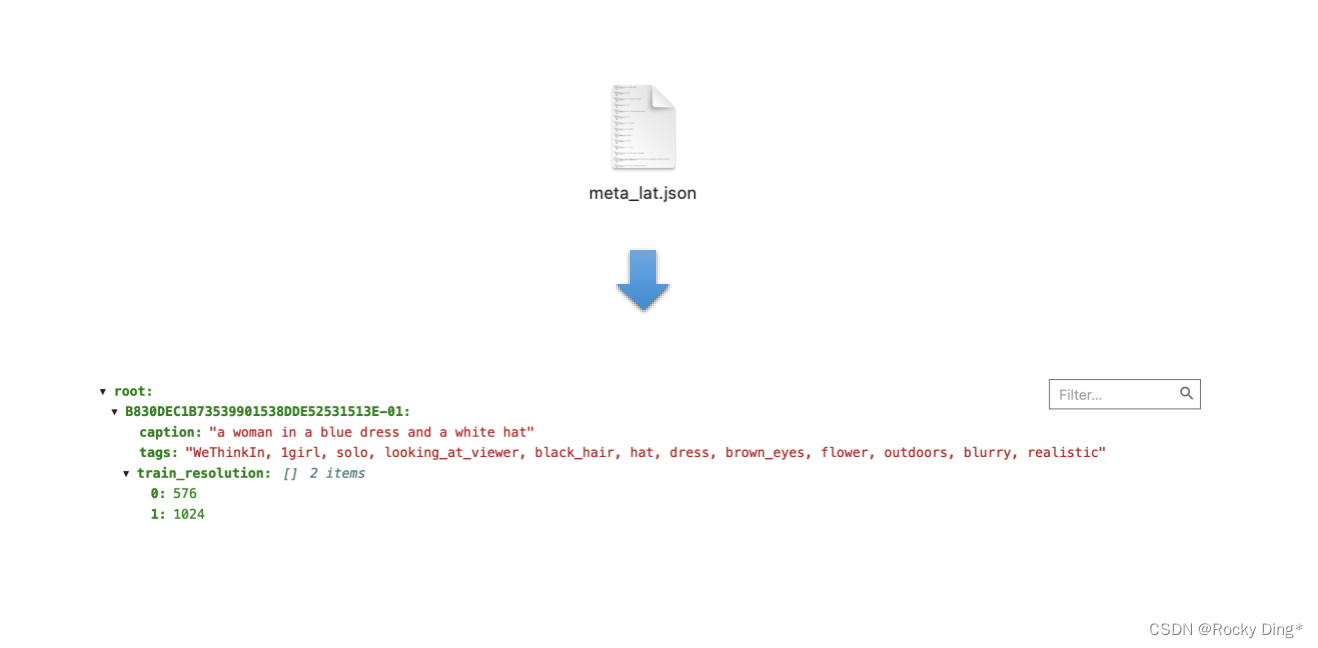 meta_lat.json文件在meta_clean.json基础上封装了图片的分辨率信息