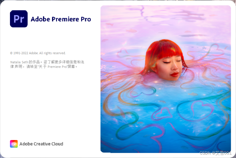 Premiere Pro 2024 mac/win版：影视魔法，剪辑未来