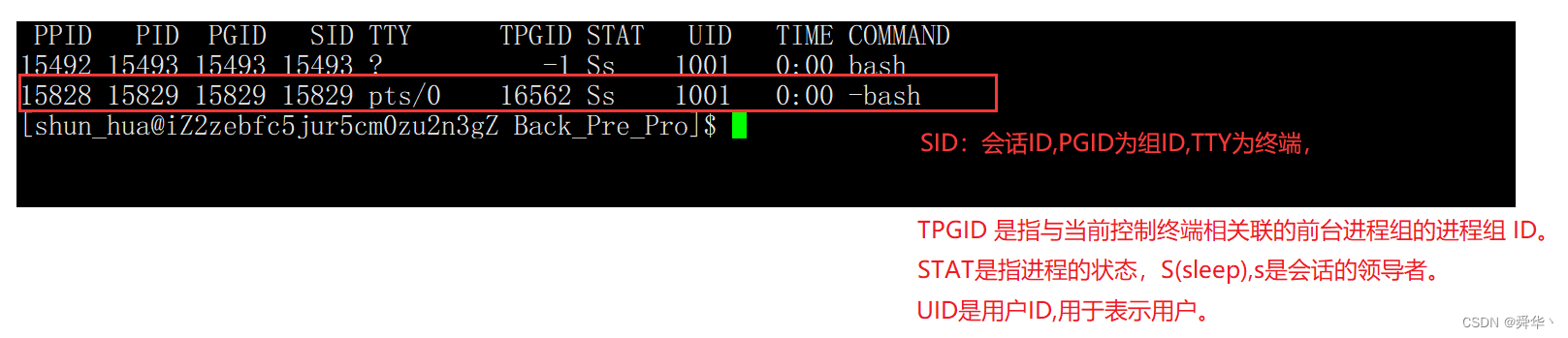 【Linux进阶之路】Socket —— “UDP“  “TCP“