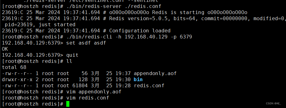 redis开启aof持久化失败，无法生成.aof文件