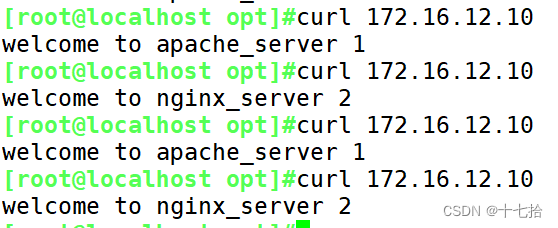 haproxy-高性能负载均衡反向代理服务