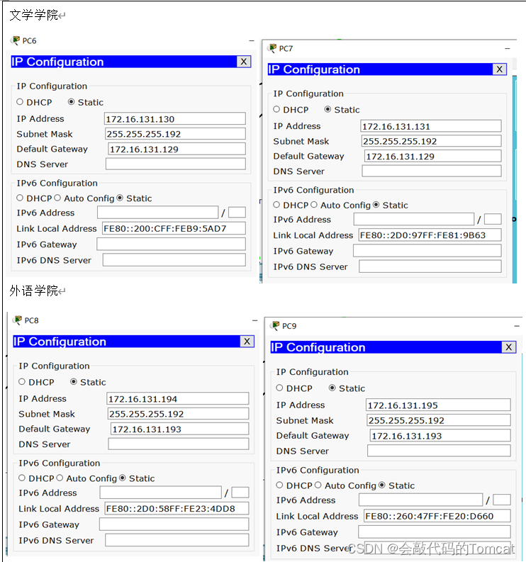 计算机网络综合组网实验