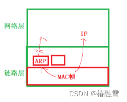 【计算机网络】数据链路层--以太网/MTU/ARP/RARP协议