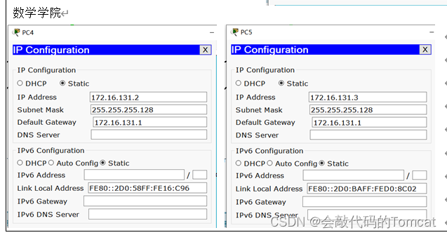 计算机网络综合组网实验