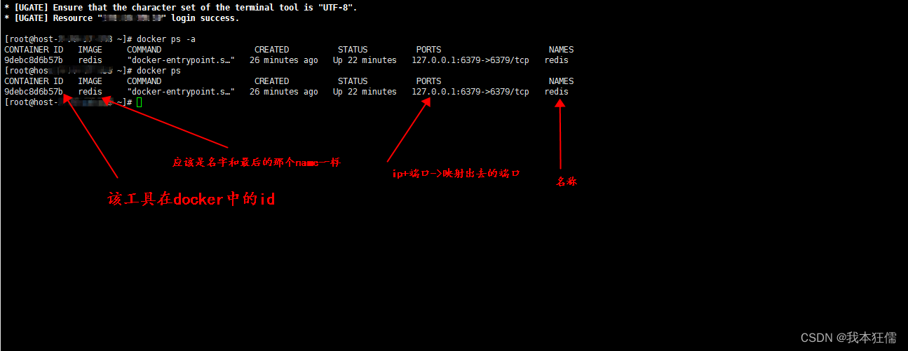 【docker】运行阶段遇到的问题