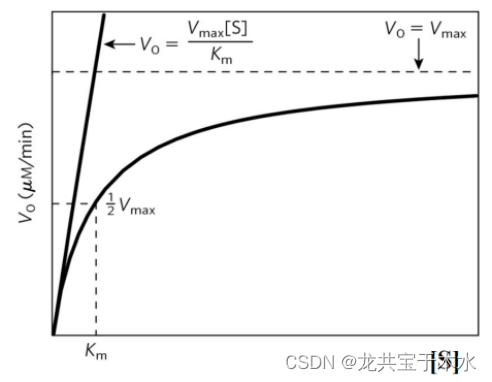 10生物化学与分子生物学——酶促反应动力学_如何区别顺次反应和乒乓反应-CSDN博客