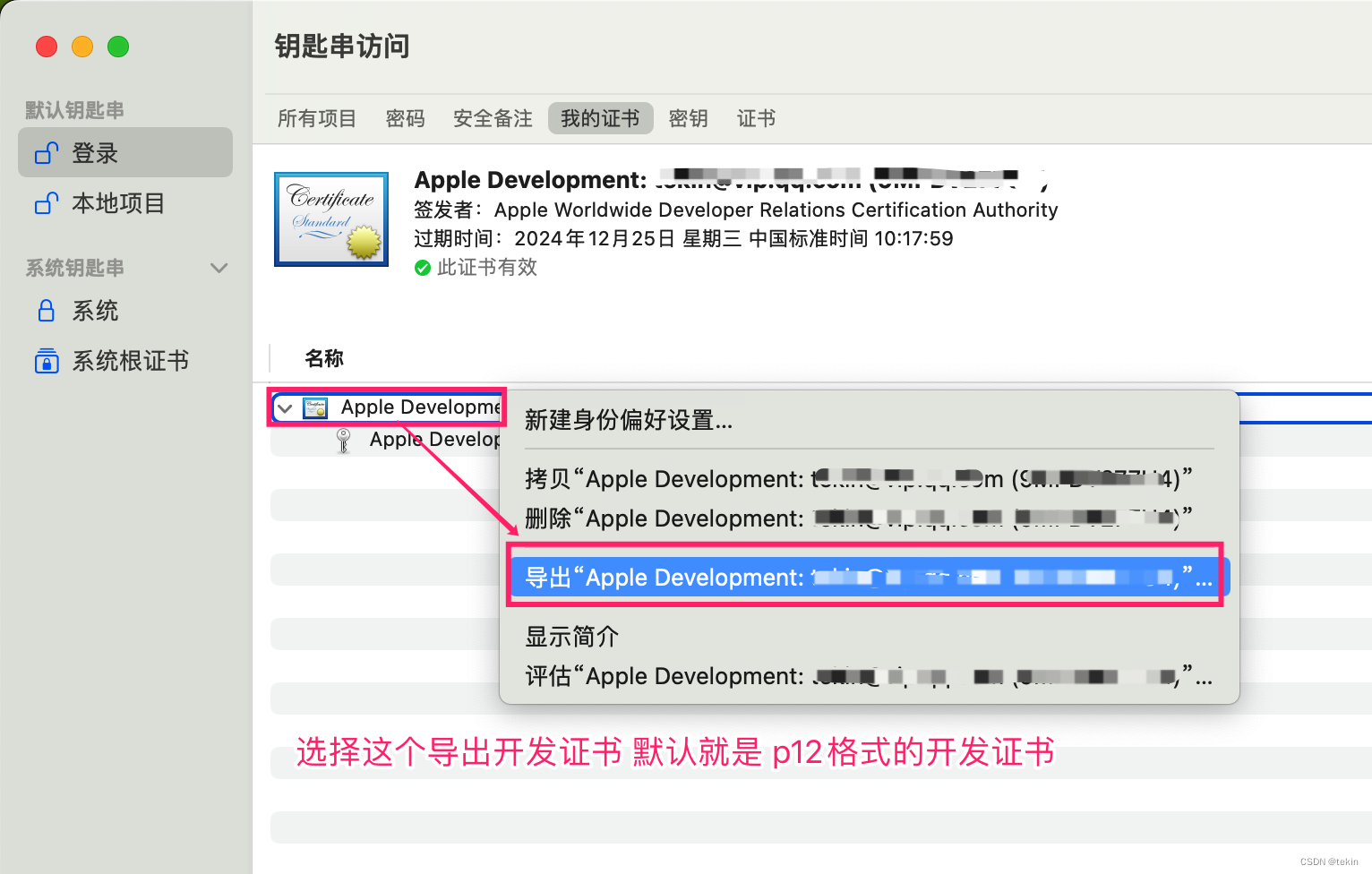 macos Apple开发证书 应用签名p12证书 获取生成方法 codesign 证书获取