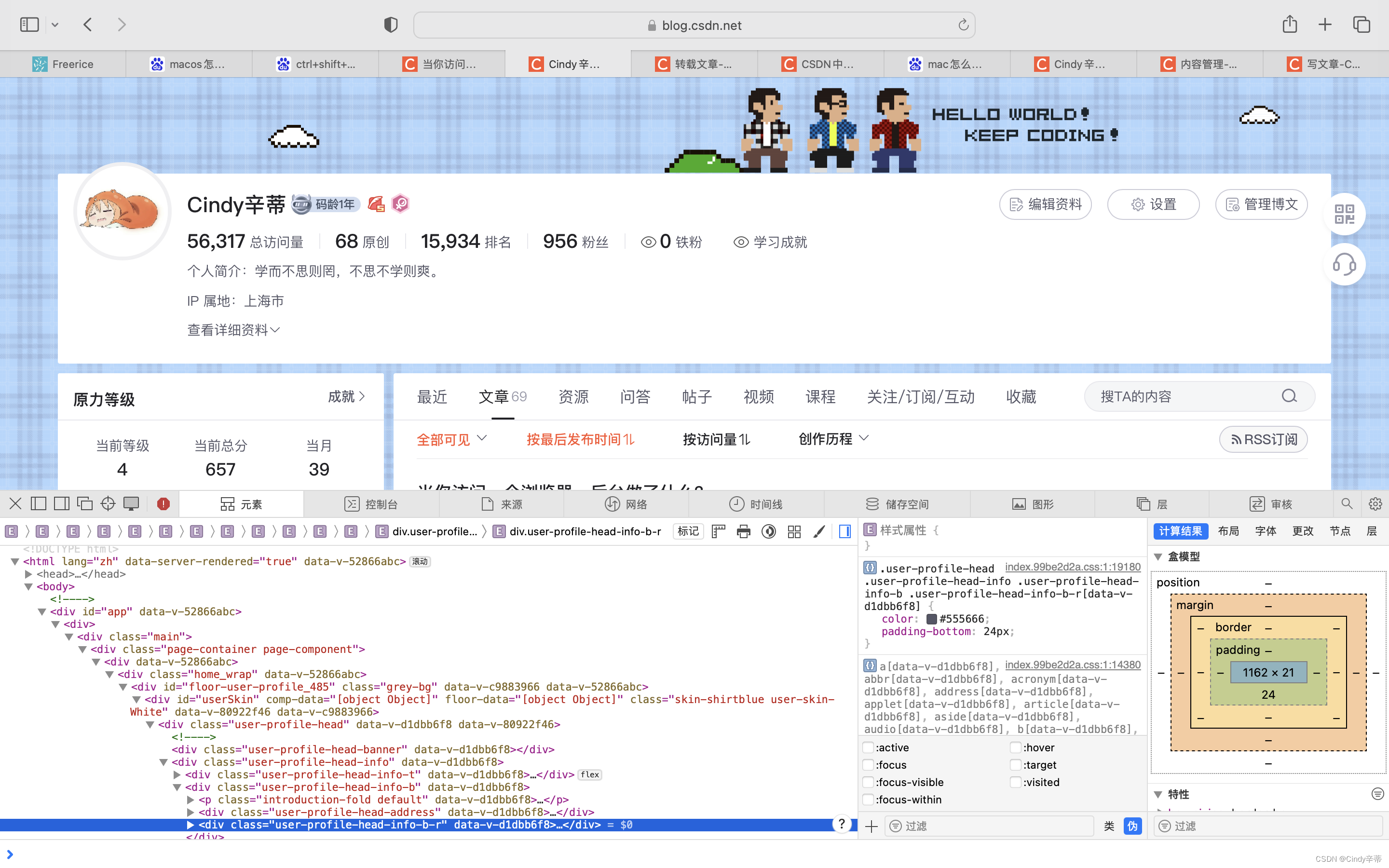 macOS系统浏览器设置“检查元素“功能