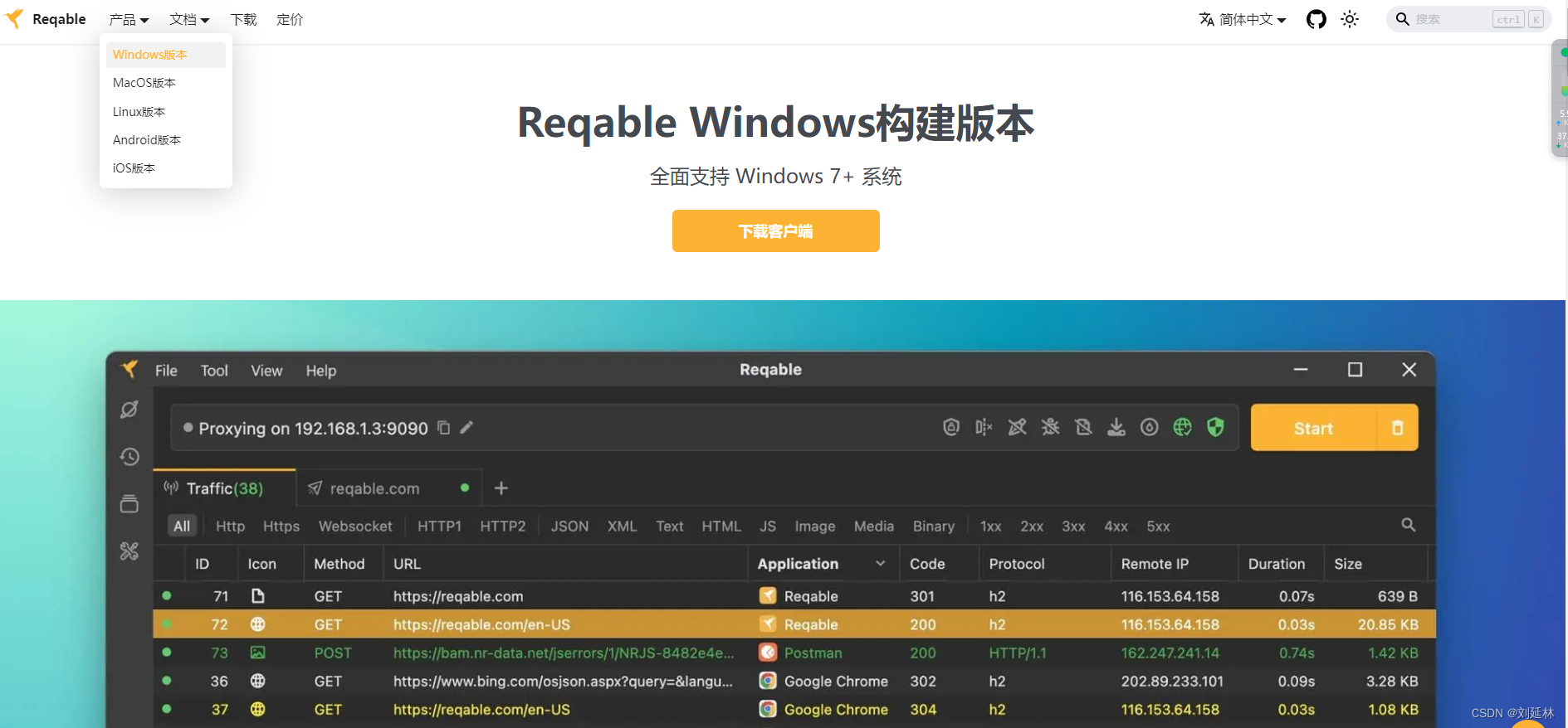 Reqable爬虫抓包工具(国产网络调试工具)