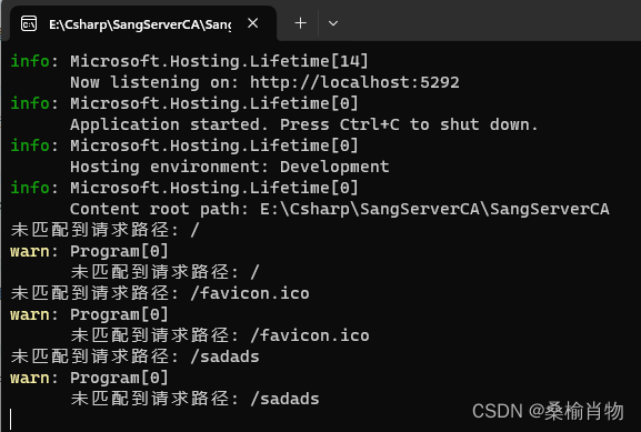 使用ASP.NET MiniAPI 调试未匹配请求路径