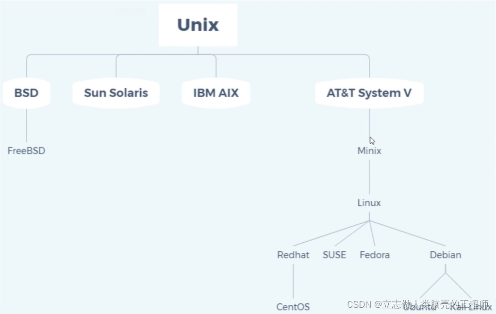 【基础期】Linux系统结构_linux分支-CSDN博客