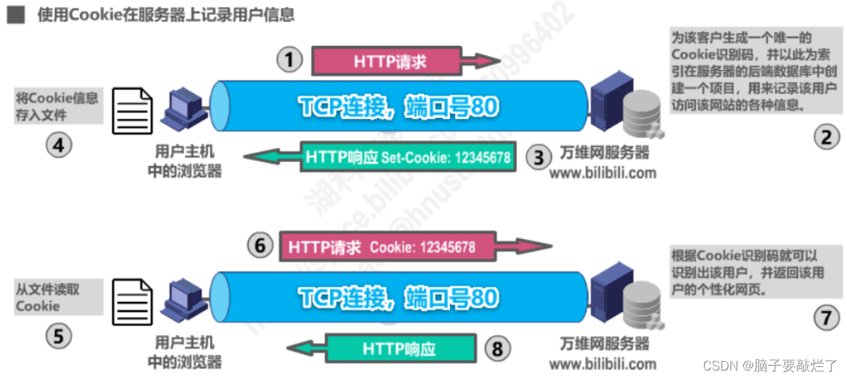 计算机网络学习笔记——应用层