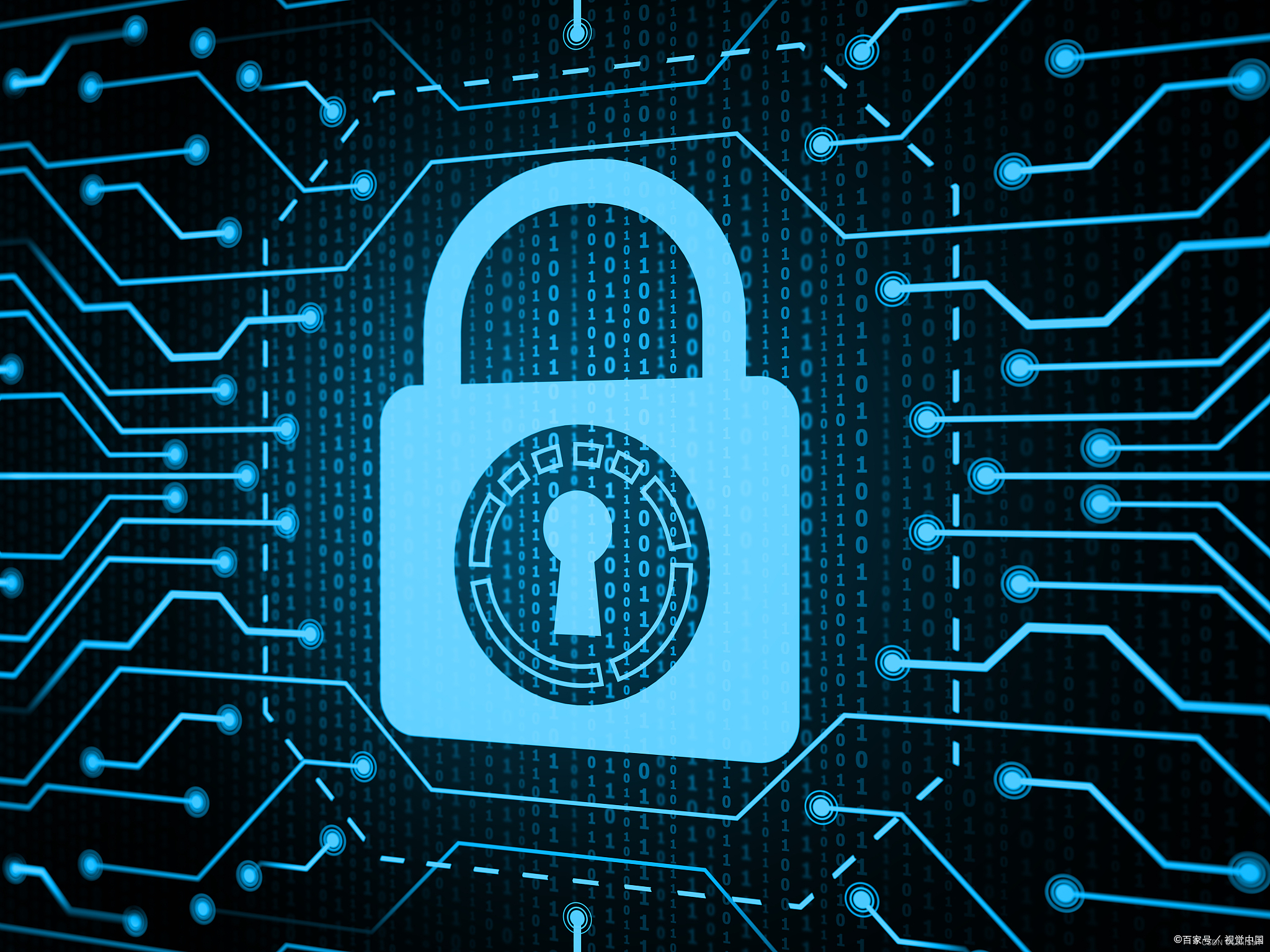 用户权益保护：TikTok如何守护数字隐私