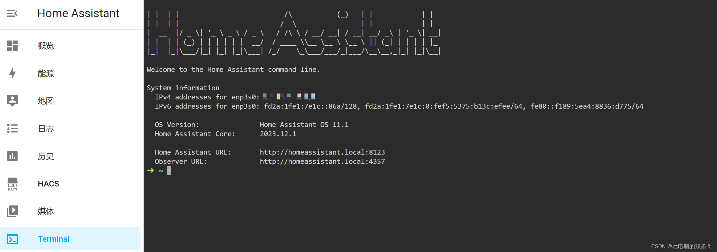 HA启动Advanced SSH  Web Terminal 提示附加组件似乎尚未准备就绪，它可能仍在启动。是否要再试一次？