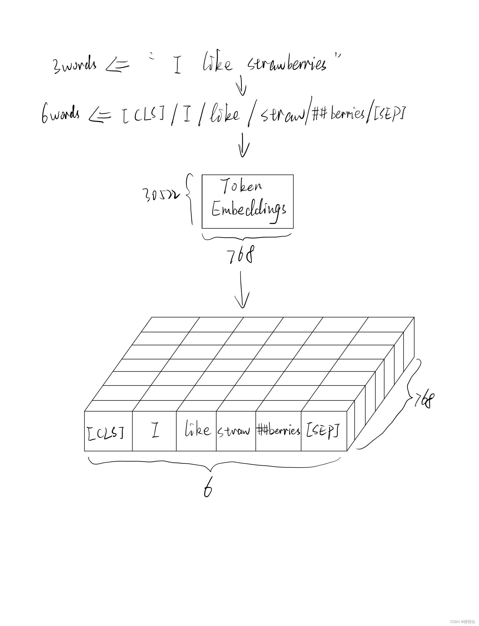 Token Embeddings