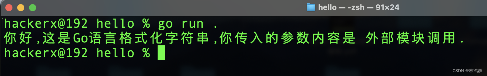 GO语言调用本地自定义模块