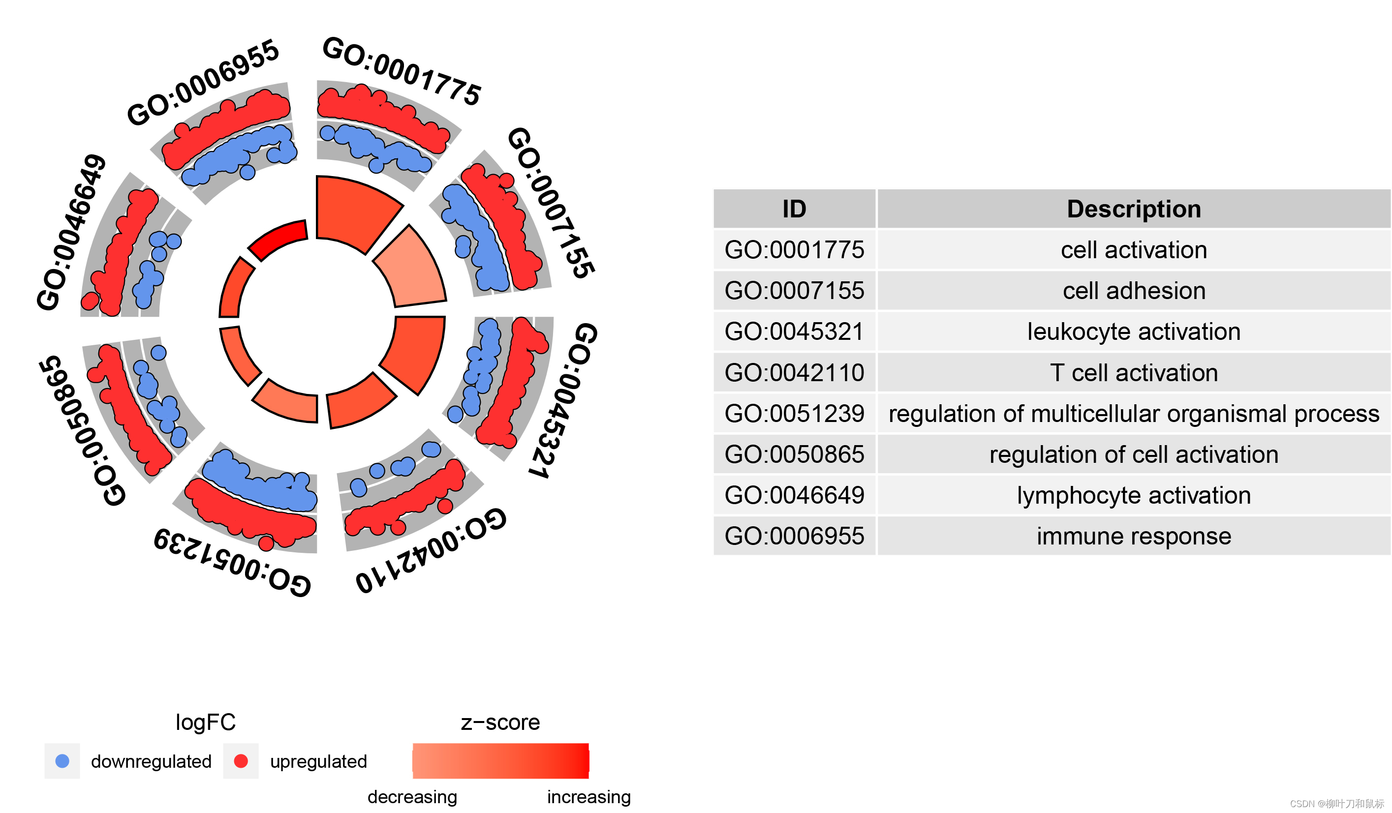 基础生信分析富集分析2