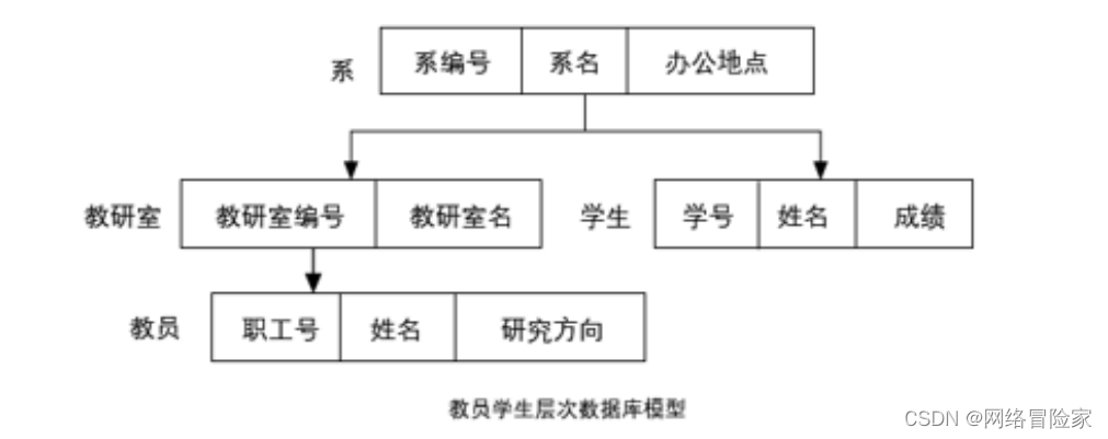 教员学生层次数据库模型