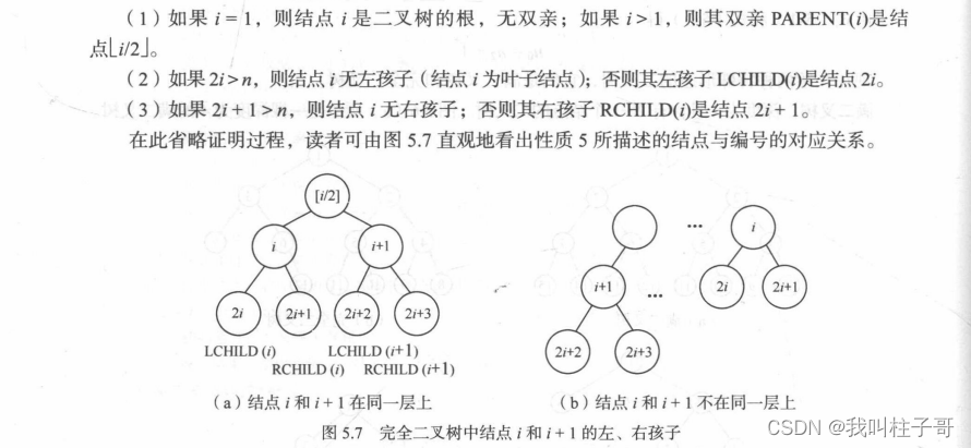 数据结构与算法之树和二叉树的一些概念和性质