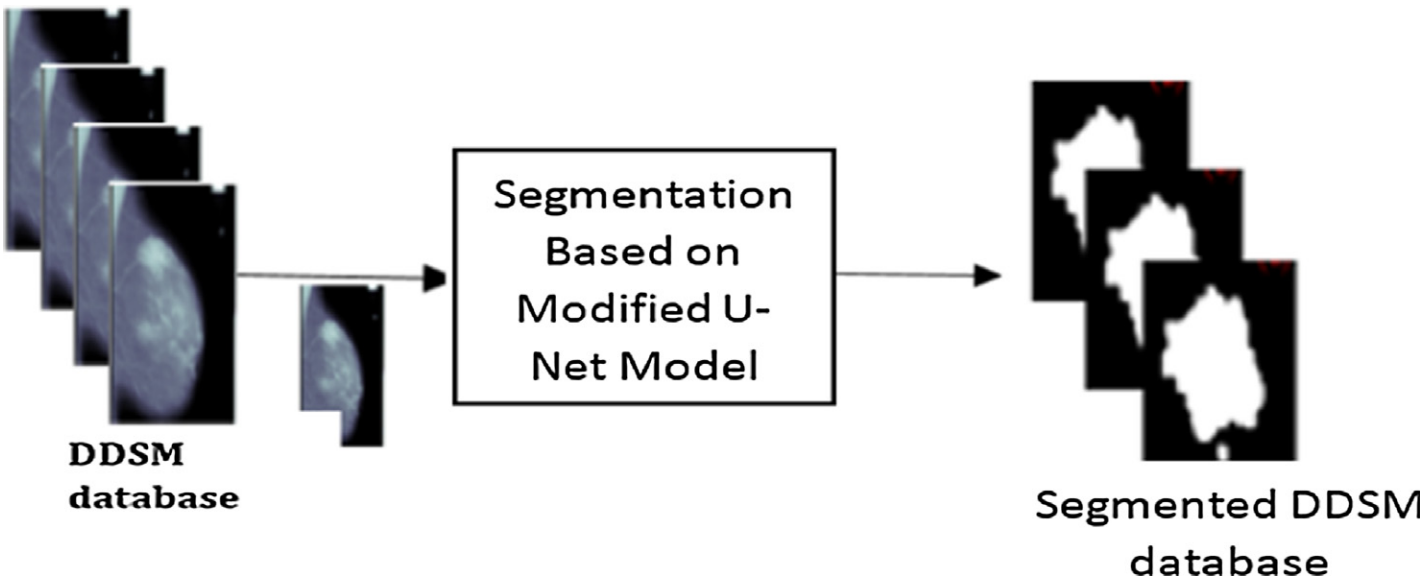 <span style='color:red;'>Automated</span> CNN approach