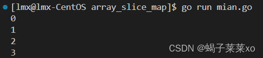 <span style='color:red;'>Go</span><span style='color:red;'>后</span><span style='color:red;'>端</span><span style='color:red;'>开发</span> -- 数组 && slice && map && range