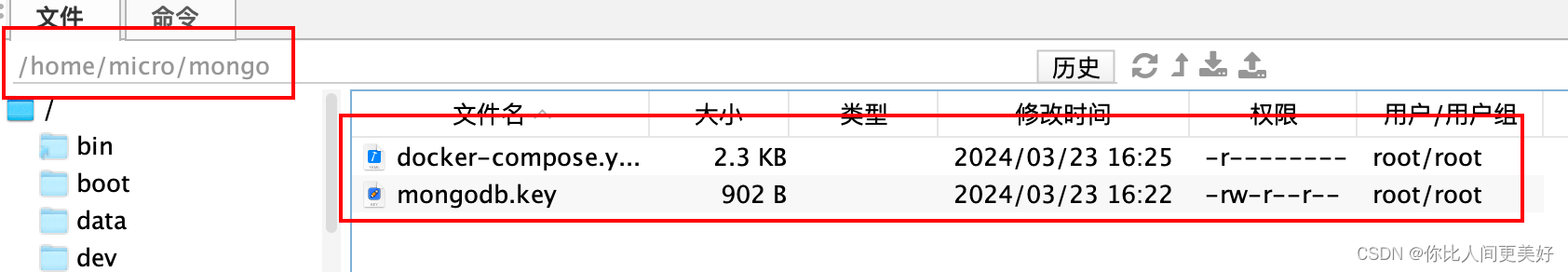 MongoDB知识