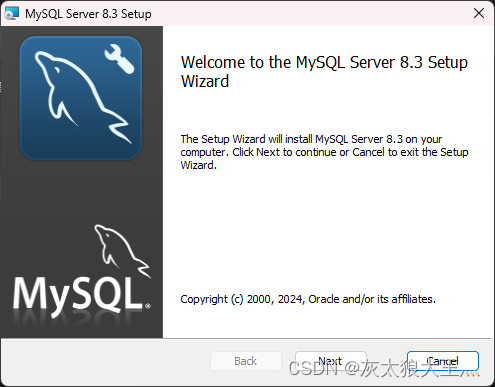 安装mysql this application requires visual studio 2019 x64报错