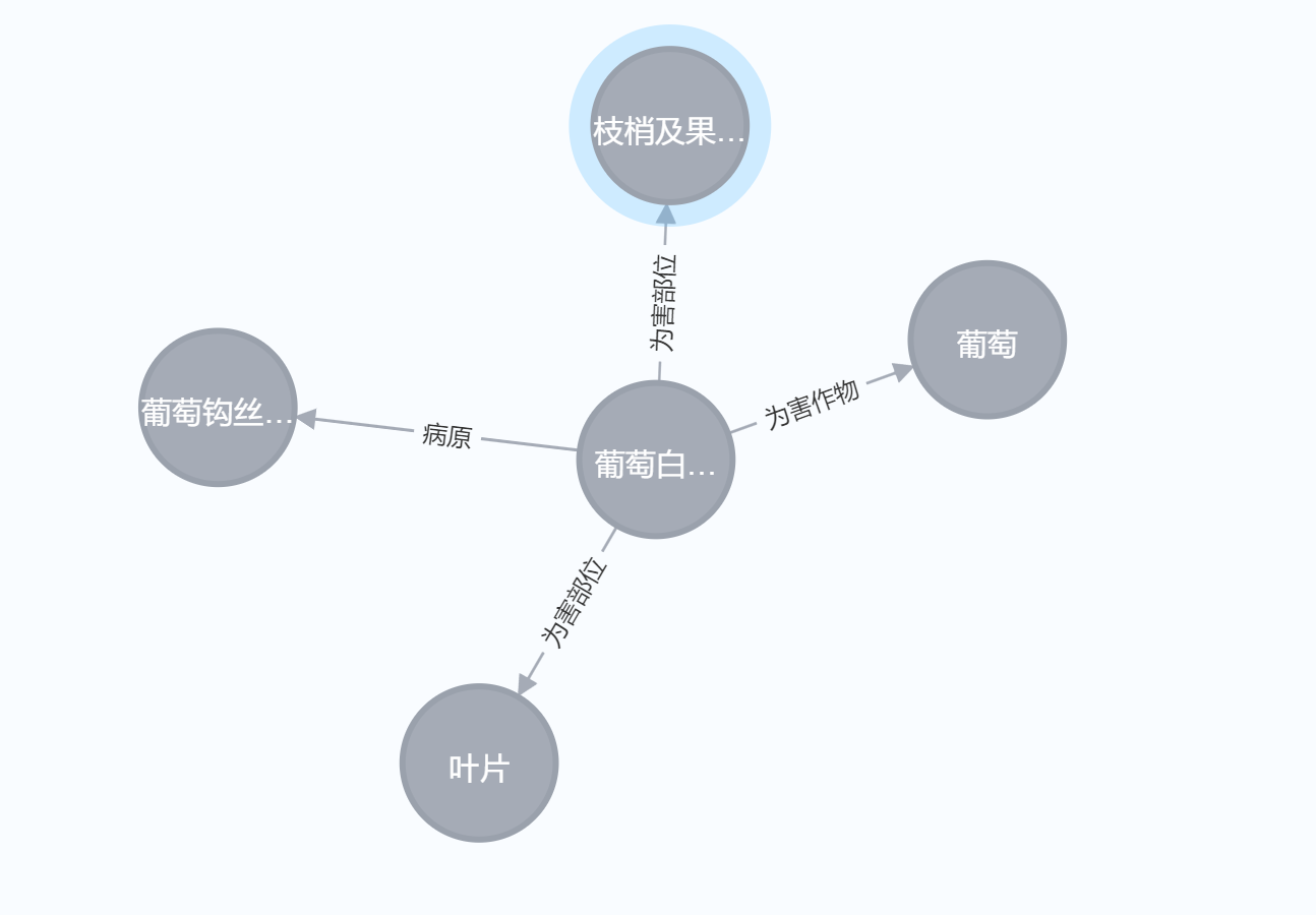 neo4j所有关系只显示RELATION，而不显示具体的关系