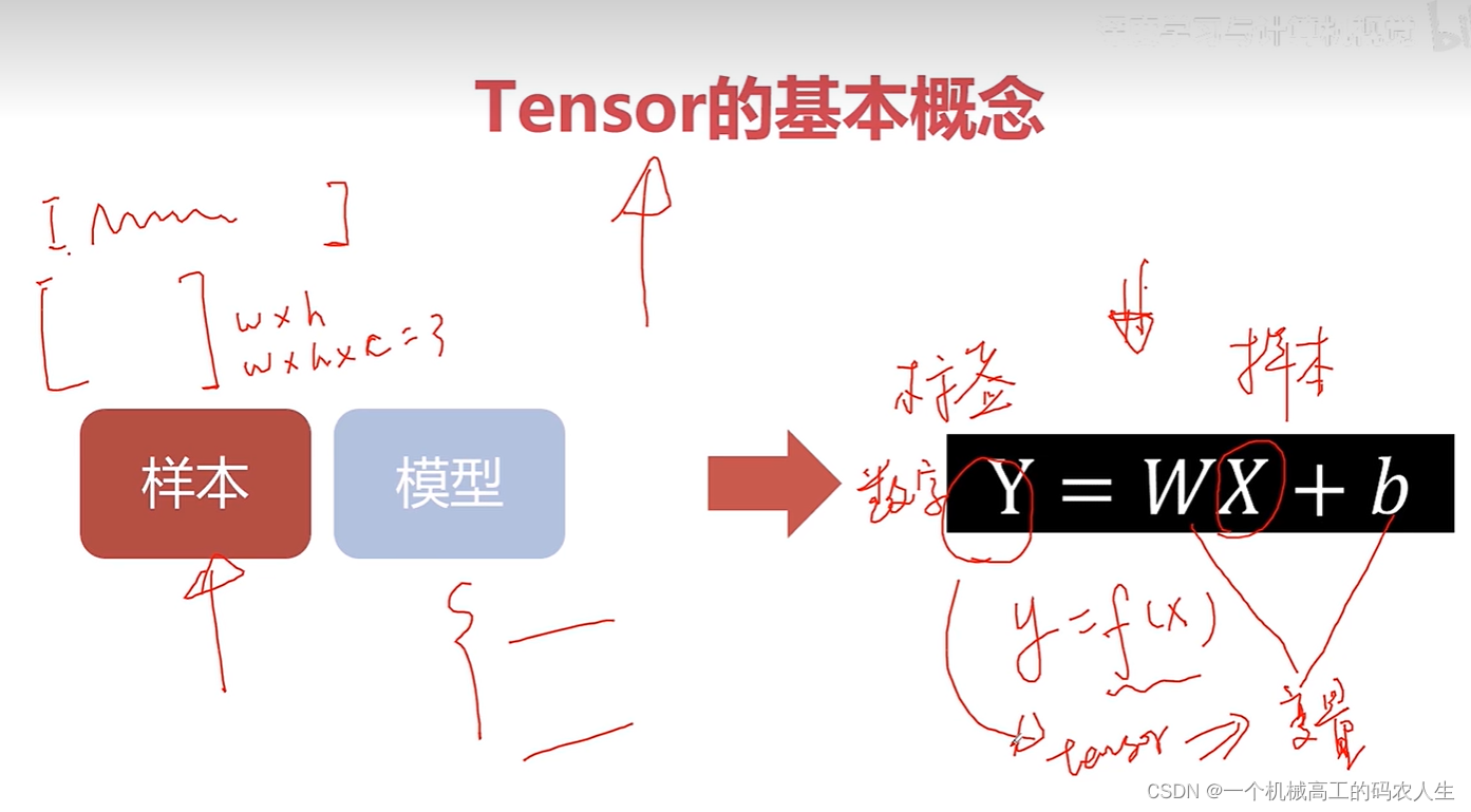 PyTorch入门到进阶教程-CSDN博客