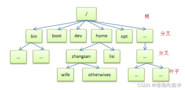 【Linux】各目录说明