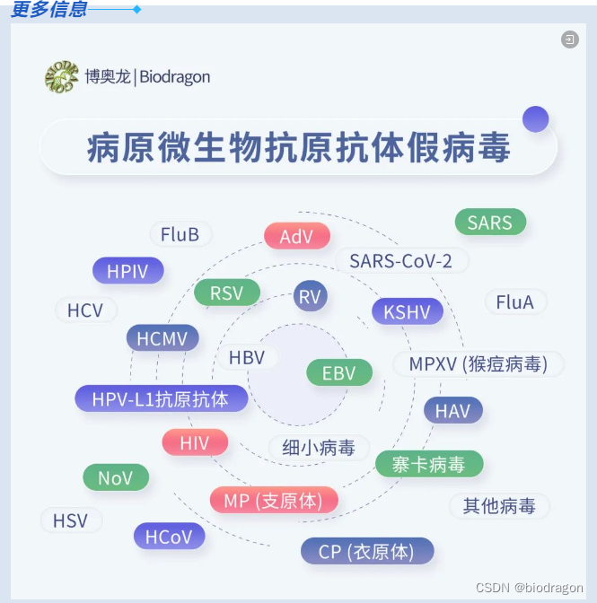 新品上线 | NoV病毒抗原抗体系列，助力疫苗相关研究！