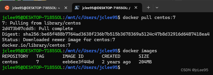 弃用Docker Desktop：在WSL2中玩转Docker之Docker Engine 部署与WSL入门