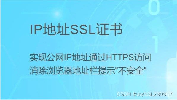 纯<span style='color:red;'>IP</span><span style='color:red;'>地址</span>可以<span style='color:red;'>申请</span><span style='color:red;'>SSL</span><span style='color:red;'>证书</span>实现HTTPS访问<span style='color:red;'>吗</span>？