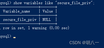 ERROR 1290 (HY000): The MySQL server is running with the --secure-file-priv option 解决办法