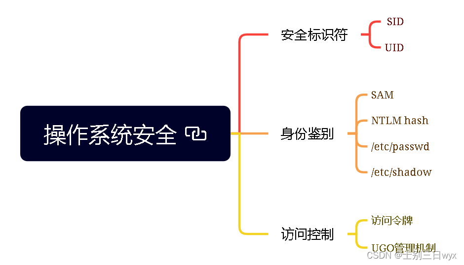 操作系统安全：Windows与Linux的安全标识符，身份鉴别和访问控制