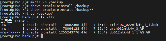 rman数据迁移_rman target导出-CSDN博客