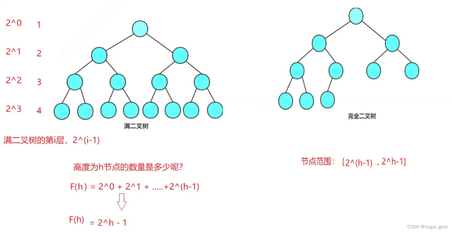 数据结构：初识树和二叉树
