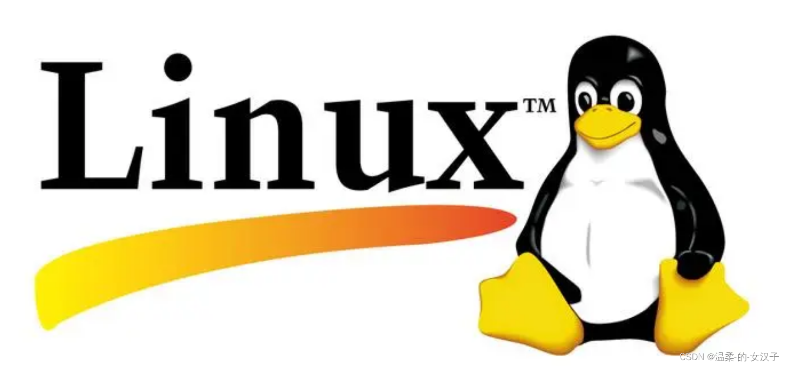 Linux 系统解压缩文件