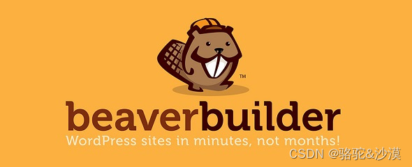 Beaver Builder Pro v2.8.0.6：最佳的WordPress页面构建器插件