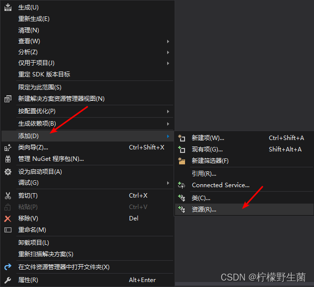 Window（Qt/Vs）软件添加版本信息