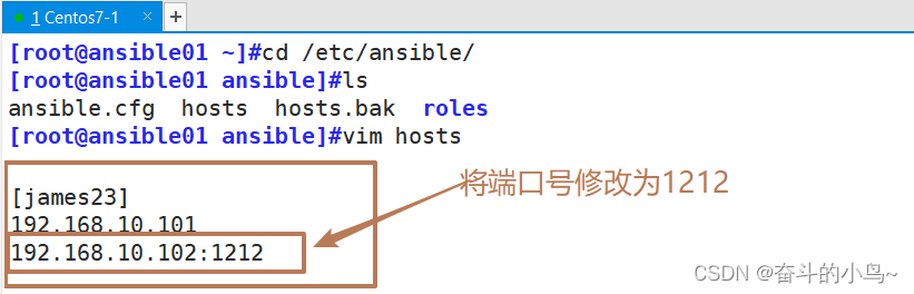 Ansible---inventory <span style='color:red;'>主机</span><span style='color:red;'>清单</span>