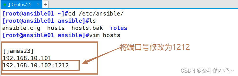 Ansible---<span style='color:red;'>inventory</span> <span style='color:red;'>主机</span><span style='color:red;'>清单</span>