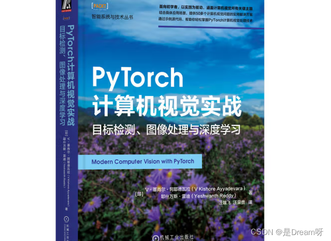 PyTorch计算机视觉实战：目标检测、图像处理与深度学习