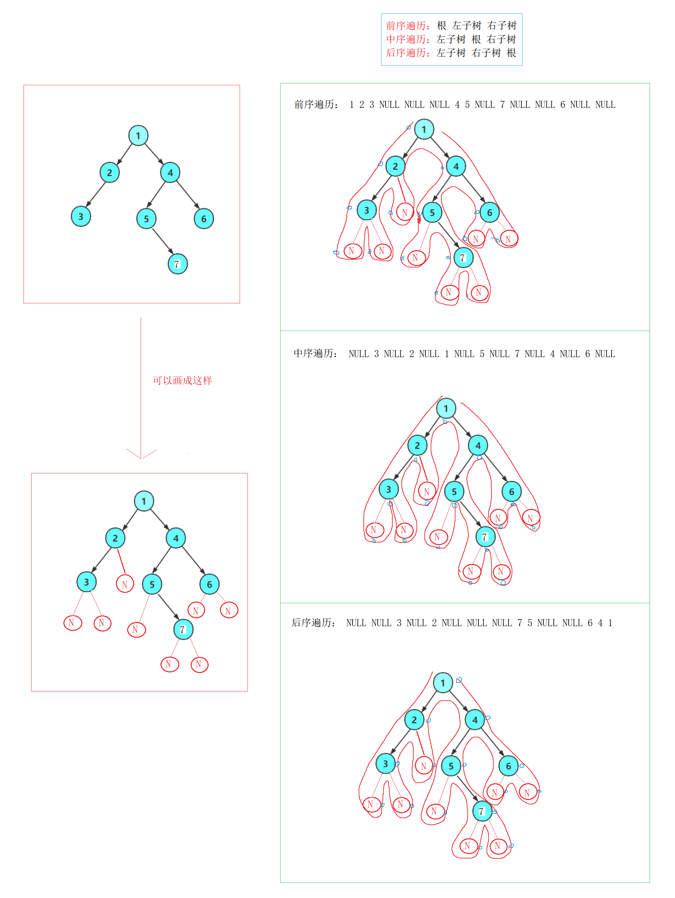 <span style='color:red;'>数据</span>结构 | <span style='color:red;'>二</span>叉树的各种<span style='color:red;'>遍</span><span style='color:red;'>历</span>