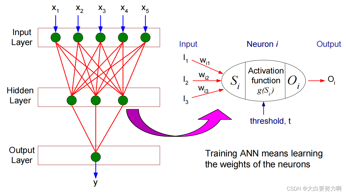 General Structure of ANN