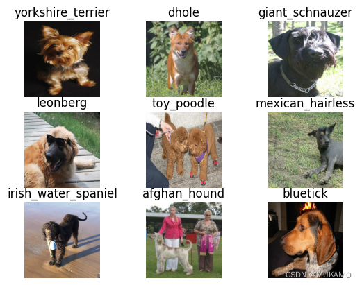 Keras深度学习框架实战（3）：EfficientNet实现stanford dog分类