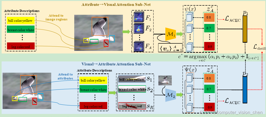 MSDN:Mutually Semantic Distillation Network for Zero-Shot Learning 中文版 待更新