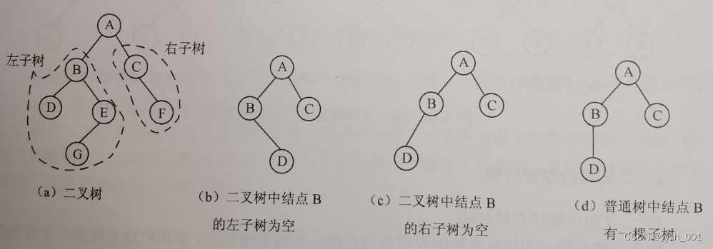 数据结构之树和二叉树定义