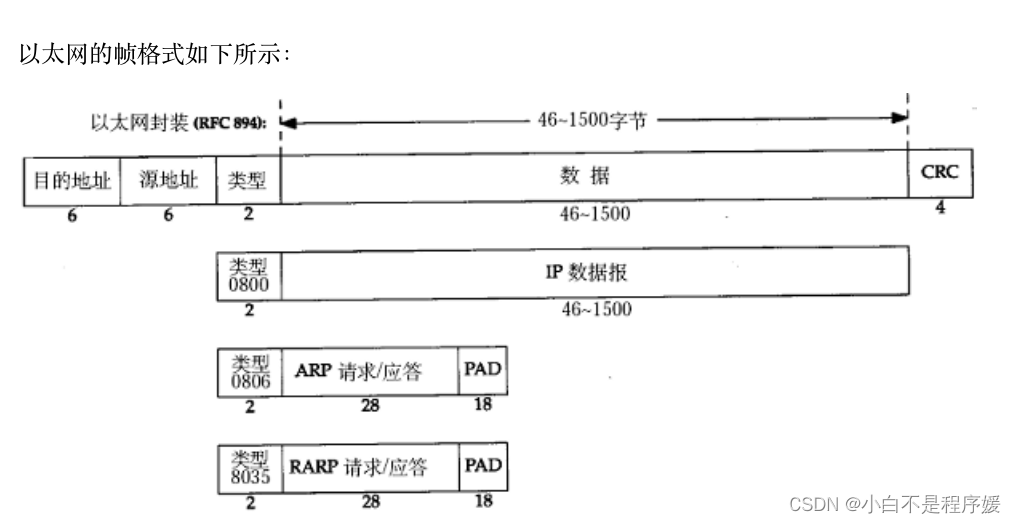 【Linux系统化学习】数据链路层